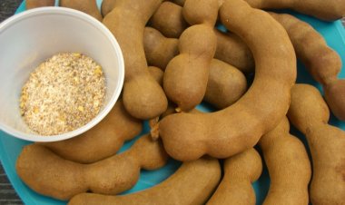 Bài thuốc chữa tiểu đường, khí hư từ cây me