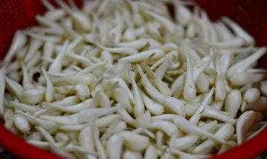 10 món ăn chữa bệnh từ củ kiệu