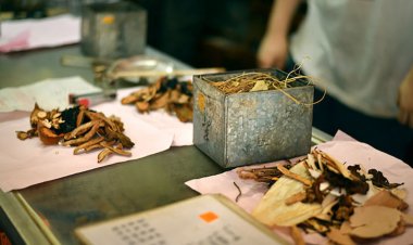 Một số lưu ý khi sắc thuốc và cách uống thuốc đông y