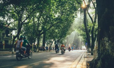 Bài thuốc Đông Y: Một số thực phẩm nên dùng trong mùa thu