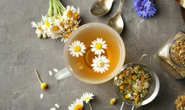 Trà dược cho bệnh Tiểu Đường: Loại trà có lợi cho người bệnh tiểu đường