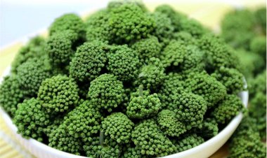 Những công dụng ít ai biết đến của nụ hoa tam thất