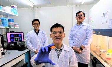 Nghiên cứu bệnh Ung Thư: Tìm ra cách tiêu diệt tế bào ung thư không cần dùng thuốc