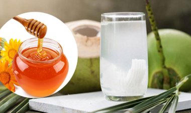 Kiến thức dùng Mật Ong: Công dụng tốt cho sức khỏe khi uống nước dừa với mật ong?