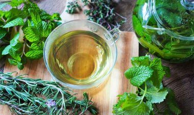 Công dụng những loại thảo mộc trong vườn nhà rất tốt cho sức khoẻ