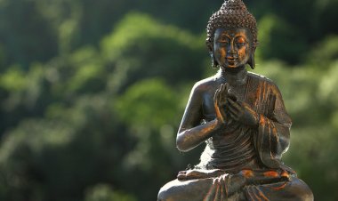 Kiến thức sống: Tri túc và làm giàu có mâu thuẫn không?