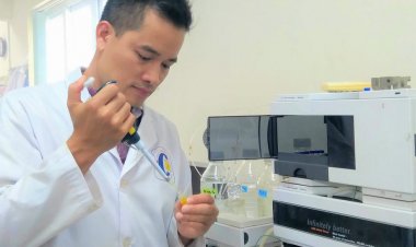 Nghiên cứu mới: Hợp chất trong cây râu mèo ức chế tiểu đường, ung thư