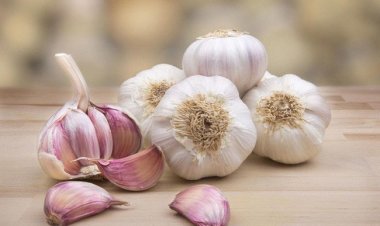 Tỏi - Dược liệu quý từ thiên nhiên