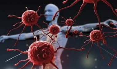 Dinh dưỡng - yếu tố quan trọng để có hệ miễn dịch khỏe mạnh