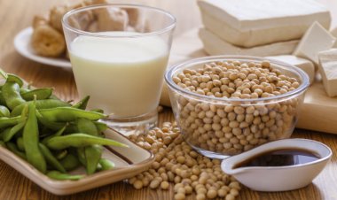 Giảm mỡ máu, hạ huyết áp, từ món ăn có Đậu Tương