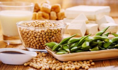 Đậu tương giảm mỡ máu, hạ huyết áp