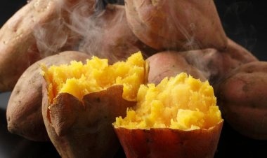 Món ăn thuốc từ khoai lang