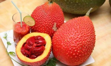 Tác dụng thần kỳ của hạt gấc chị em ít biết