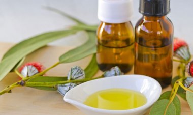 Dùng tinh dầu khuynh diệp cho trẻ nhỏ nguy hiểm khó lường