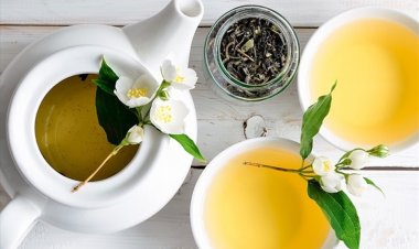 8 siêu lợi ích của trà hoa nhài đối với sức khỏe