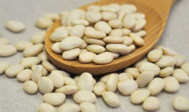 Tác dụng thần kỳ từ đậu ván trắng