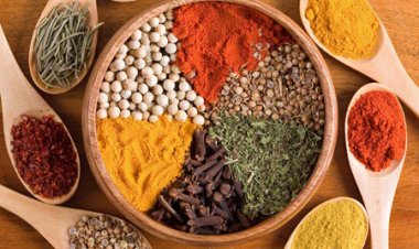 Chứng đởm nhiệt và thuốc trị