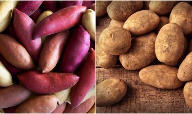 Vì sao không nên để chung khoai lang với khoai tây?
