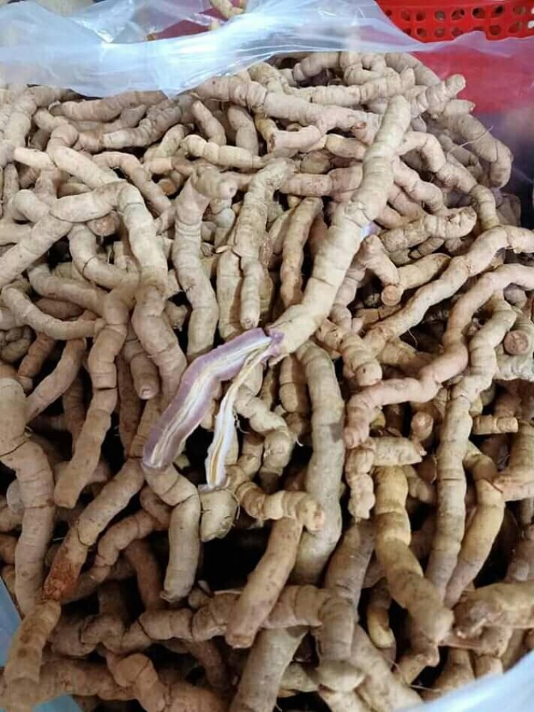 Ba kích hay còn gọi ba kích thiên, nhàu thuốc, ruột gà (Tên khoa học: Morinda officinalis), là loài thực vật thuộc chi Nhàu, họ Cà phê.