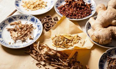 Bạch chỉ khu phong, trừ thấp