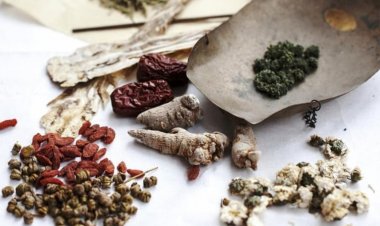 Bài thuốc trị viêm họng mùa lạnh