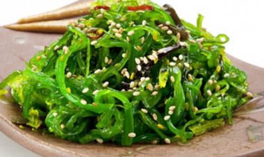 Tảo bẹ - dược phẩm tăng cường sức khỏe từ biển