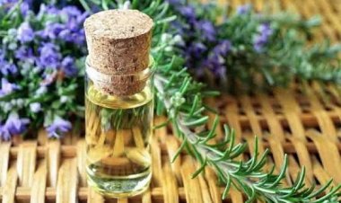 11 sản phẩm tự nhiên có tác dụng đuổi côn trùng hiệu quả