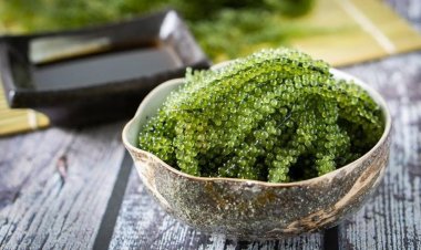 Rong nho biển tốt đến mức độ nào mà khiến chị em "mê mẩn"?