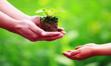 Trong cuộc sống, nên làm gì để nhận được phúc báo?