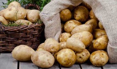 Mang thai chị em cứ tích cực ăn khoai tây bởi 6 lợi ích tuyệt vời mang tới