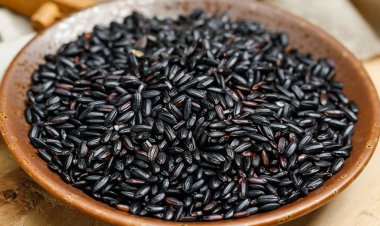 Gạo đen: 11 lợi ích và công dụng của gạo đen hay gạo tím, gạo cẩm, nếp cẩm