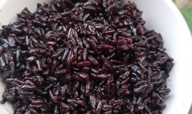 Lợi ích sức khỏe tuyệt vời của gạo cẩm