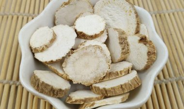 Vị thuốc Bạch chỉ và một số công dụng