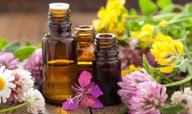 Điểm danh những loại tinh dầu giúp giảm căng thẳng và lo âu