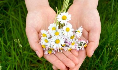 5 chữ đừng phải tránh để chạm đến hạnh phúc đích thực