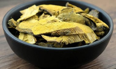 Vị thuốc hổ trượng căn