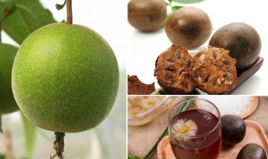 Quả la hán trị bệnh