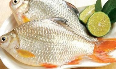 Cá diếc bổ tỳ vị, tiêu viêm