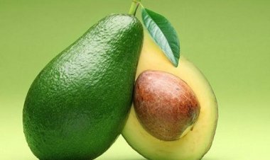 Bài thuốc chữa đau dạ dầy, giúp cân bằng thần kinh từ quả bơ