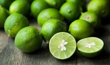 Hạt chanh có tác dụng gì?