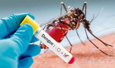 Dấu hiệu sốt xuất huyết: nguyên nhân và cách điều trị