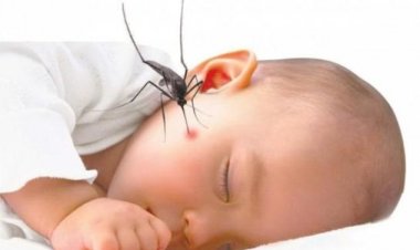 Bệnh sốt xuất huyết ở trẻ và những điều mẹ cần biết