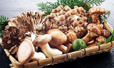 7 loại rau củ giúp lưu thông máu lên não, chữa chứng rối loạn tiền đình