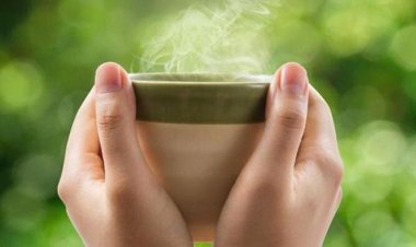 Công dụng tuyệt vời từ việc uống nước ấm thường xuyên