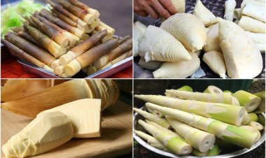 Bí quyết khử độc khi dùng măng tươi