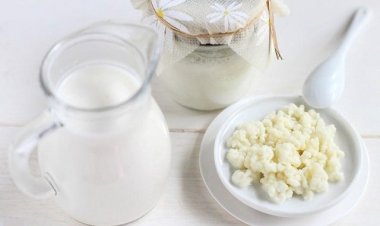 Sự thật về loại nấm sữa chị em nô nức đem về nuôi: Có xứng danh “tinh hoa", "siêu thực phẩm"?