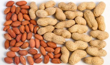 Lợi ích tuyệt vời của lạc tốt cho tim mạch, giảm nguy cơ ung thư