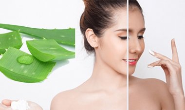 5 bí quyết dưỡng trắng da bằng nha đam đơn giản mà nàng nghiện chăm da bổ rẻ cần biết