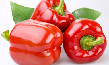 Ớt chuông đỏ - liều thuốc thiên nhiên hỗ trợ chứng thiếu máu, giảm thị lực