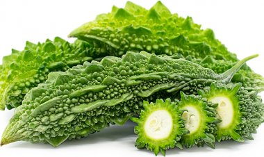 Không những thanh nhiệt, giải độc, mướp đắng còn giúp phòng ung thư